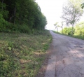 PICT0551.JPG